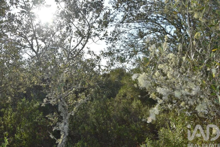 Terreno para Venda em Chãos Foto 12