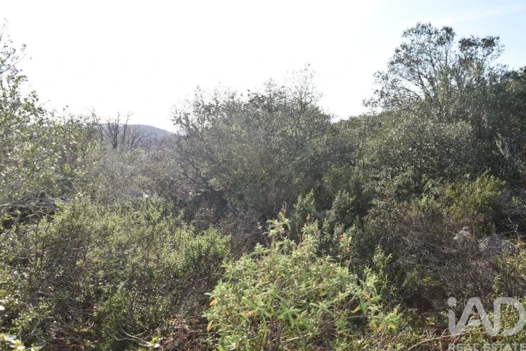 Terreno para Venda em Chãos Foto 7