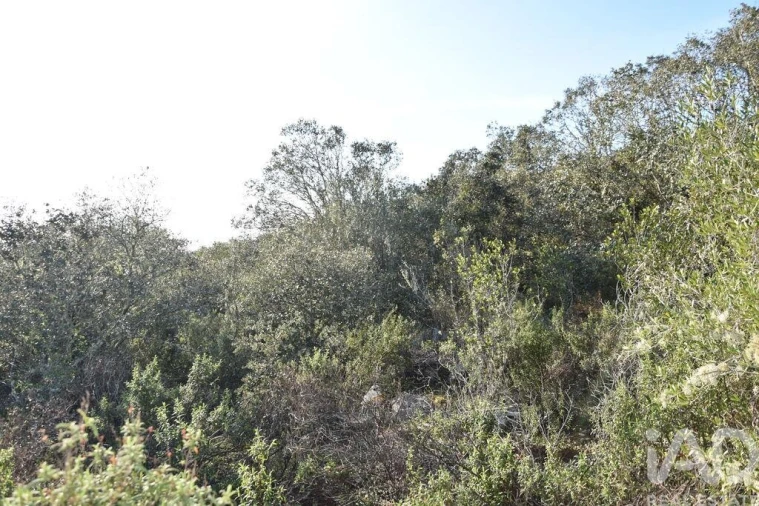 Terreno para Venda em Chãos Foto 8