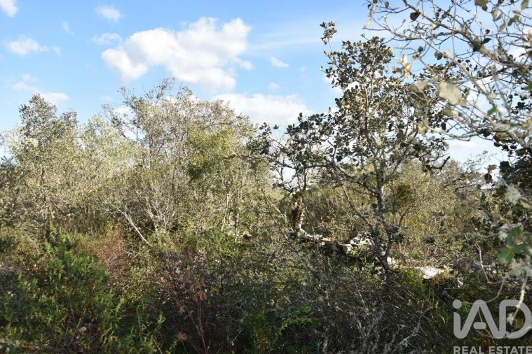 Terreno para Venda em Chãos Foto 13