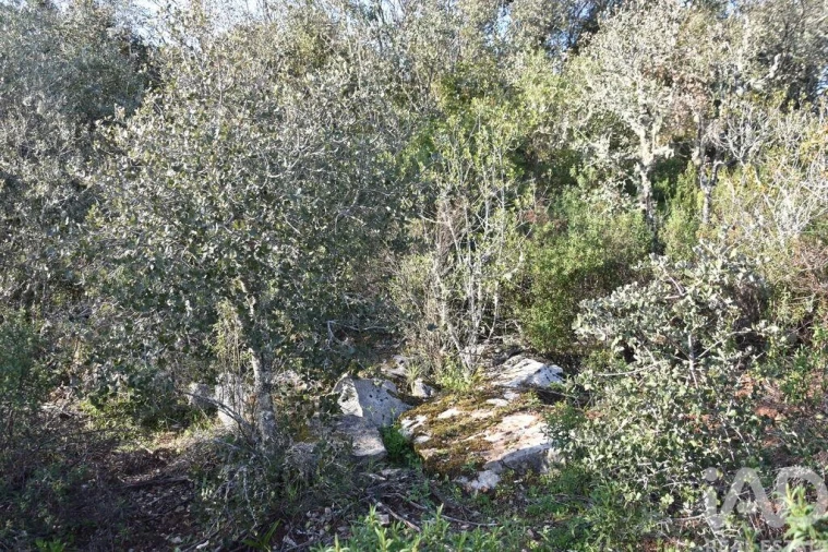 Terreno para Venda em Chãos Foto 10