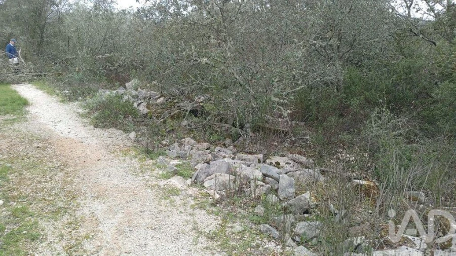 Terreno para Venda em Chãos Foto 24