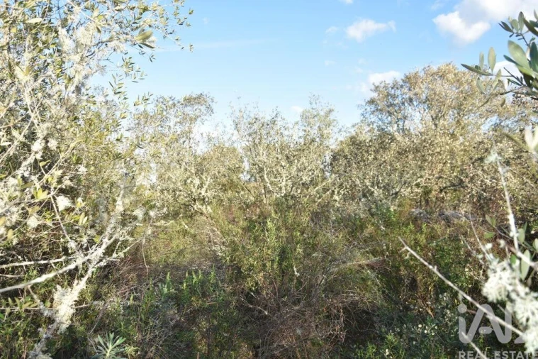 Terreno para Venda em Chãos Foto 16