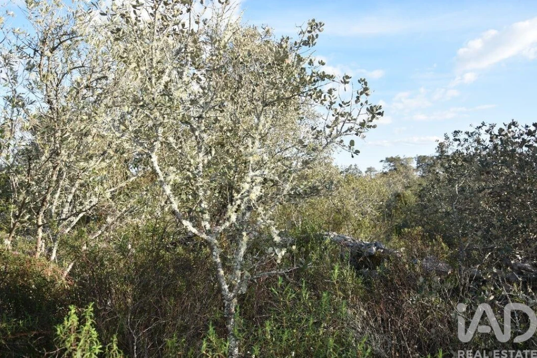 Terreno para Venda em Chãos Foto 17