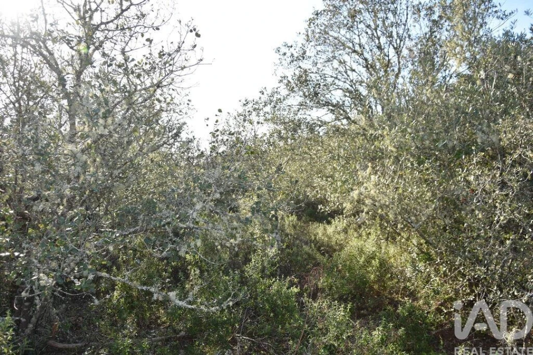 Terreno para Venda em Chãos Foto 11