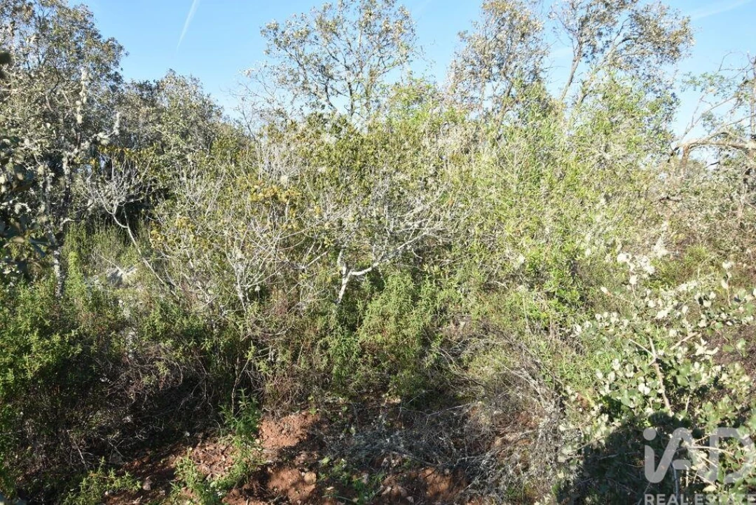 Terreno para Venda em Chãos Foto 15