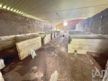 Terreno para Venda em Vila Verde de Ficalho