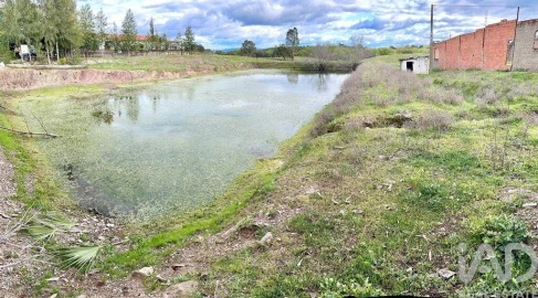Terreno para Venda em Vila Verde de Ficalho