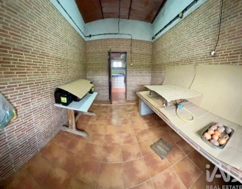 Terreno para Venda em Vila Verde de Ficalho