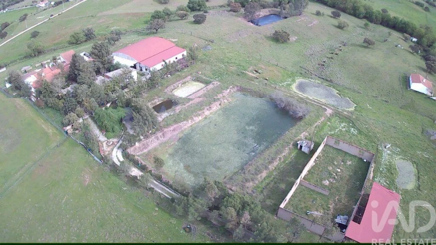 Terreno para Venda em Vila Verde de Ficalho