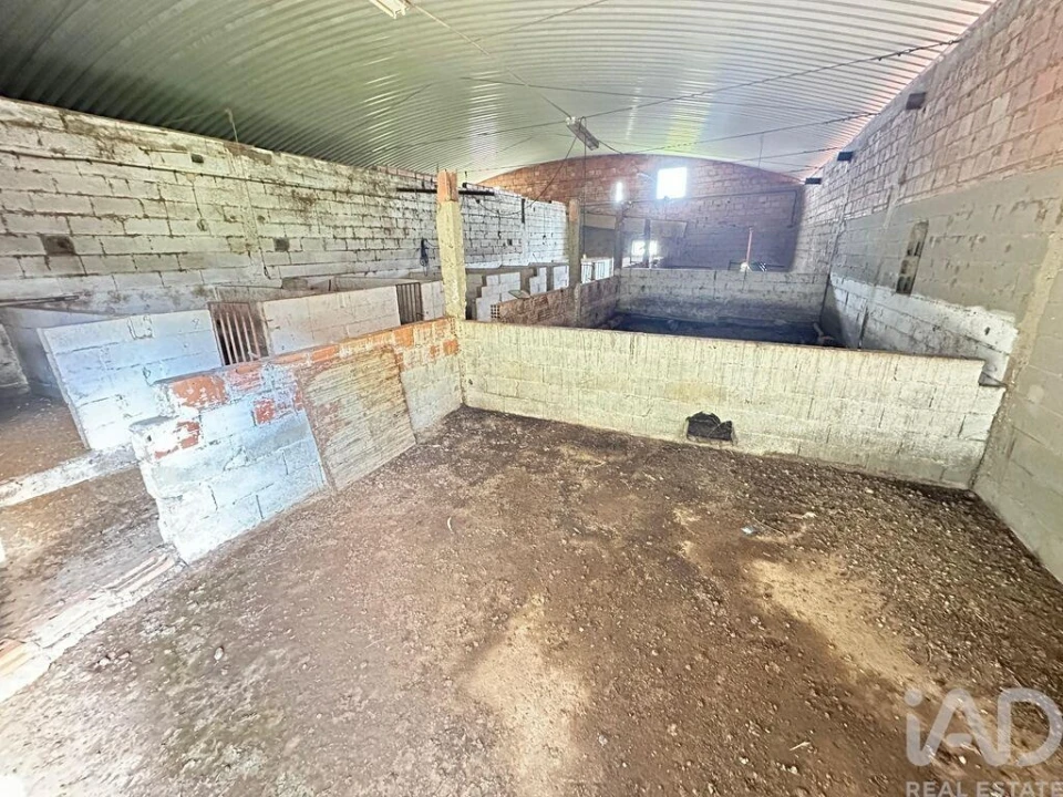 Terreno para Venda em Vila Verde de Ficalho Foto 35