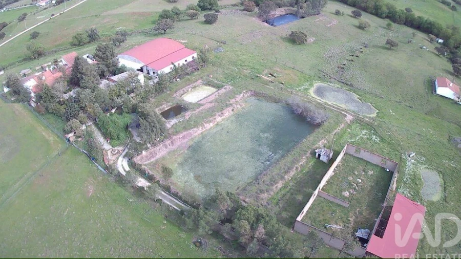 Terreno para Venda em Vila Verde de Ficalho