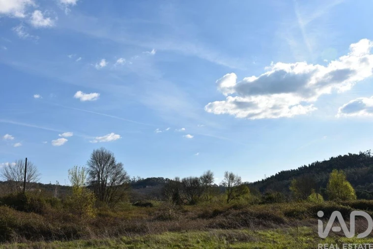 Terreno para Venda em Chãos Foto 6
