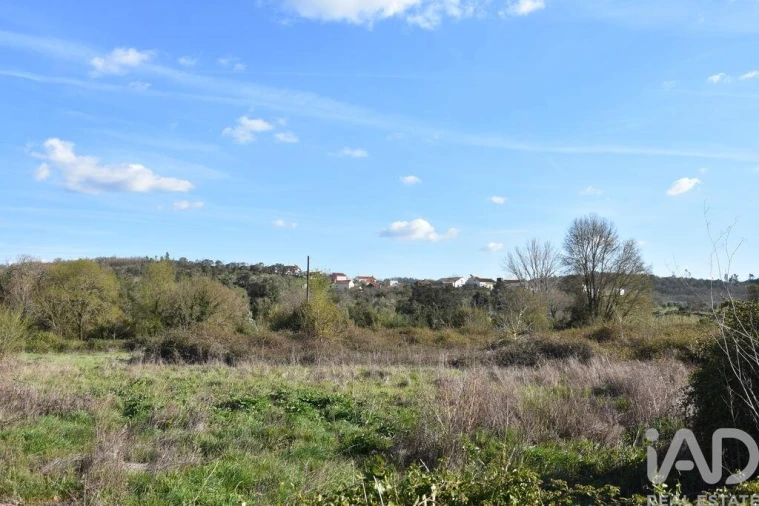 Terreno para Venda em Chãos