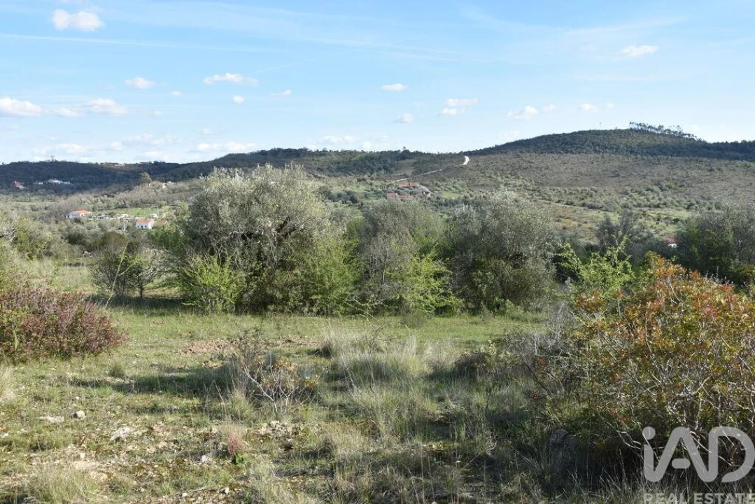 Terreno para Venda em Chãos Foto 16