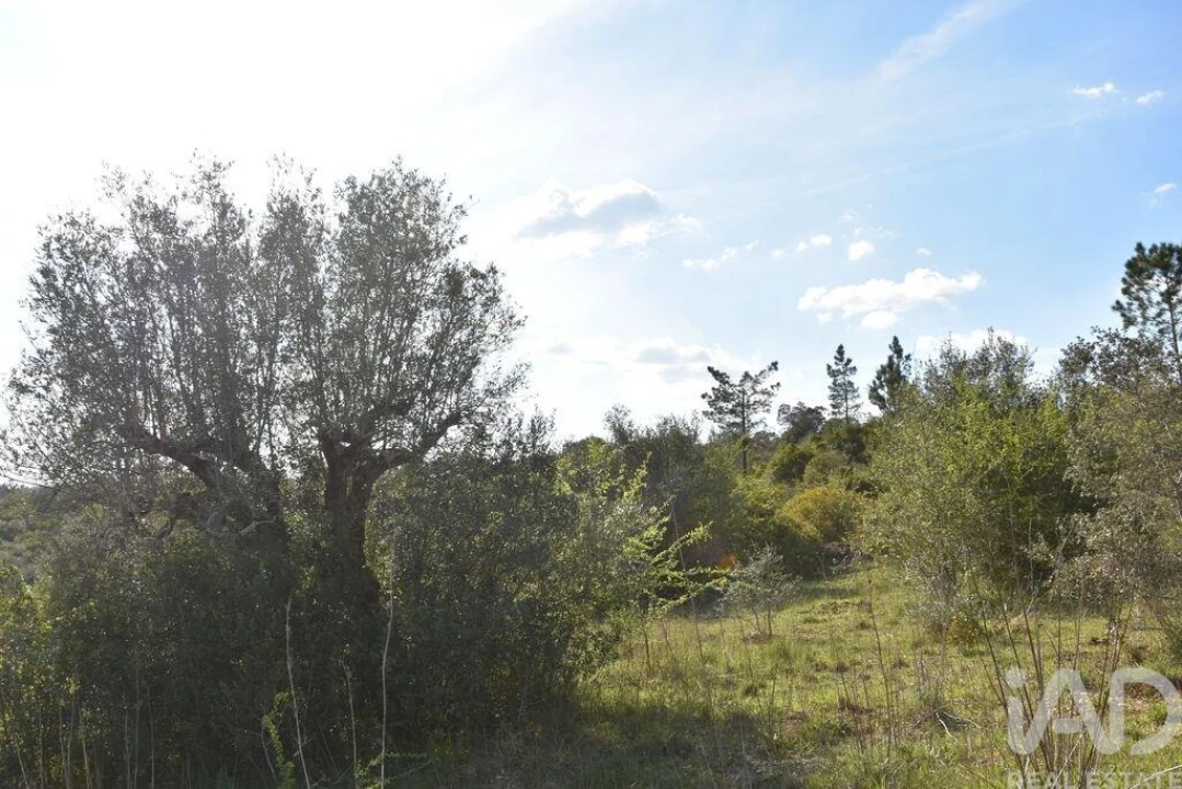 Terreno para Venda em Chãos Foto 22