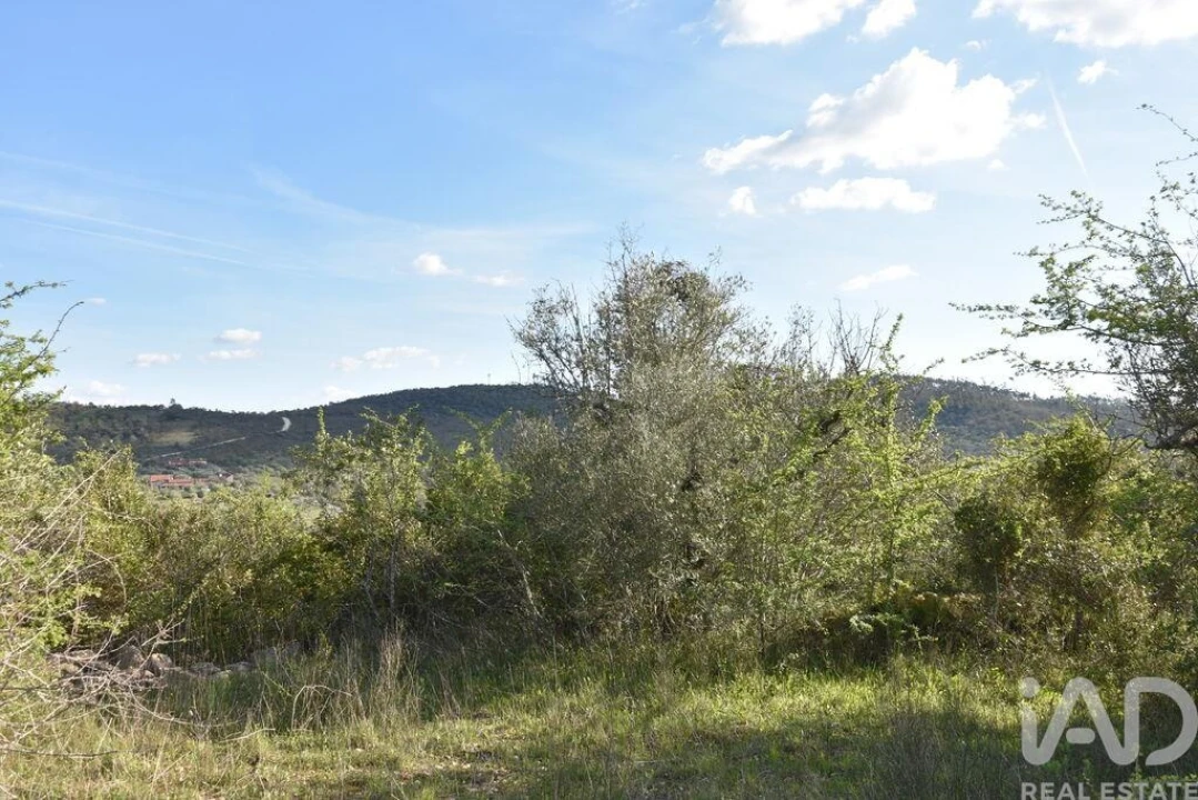 Terreno para Venda em Chãos Foto 21