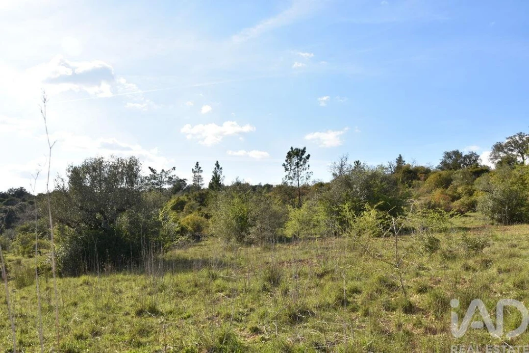 Terreno para Venda em Chãos Foto 10
