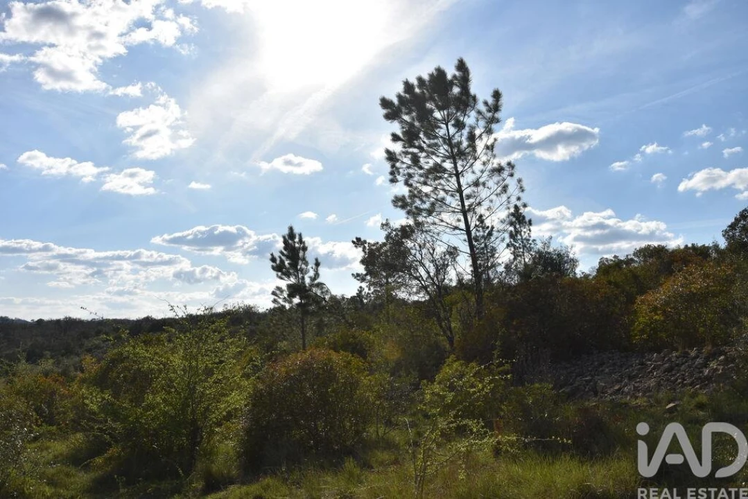 Terreno para Venda em Chãos Foto 28