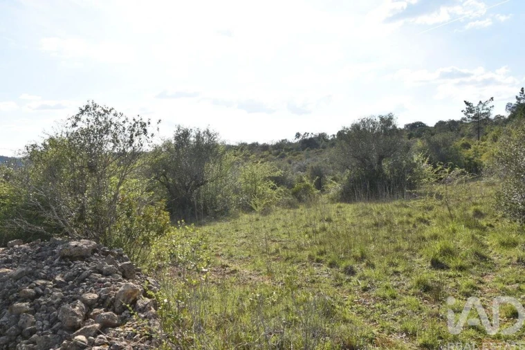 Terreno para Venda em Chãos Foto 11
