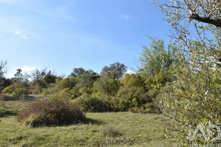 Terreno para Venda em Chãos Foto 9