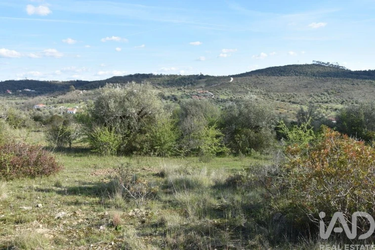 Terreno para Venda em Chãos Foto 16