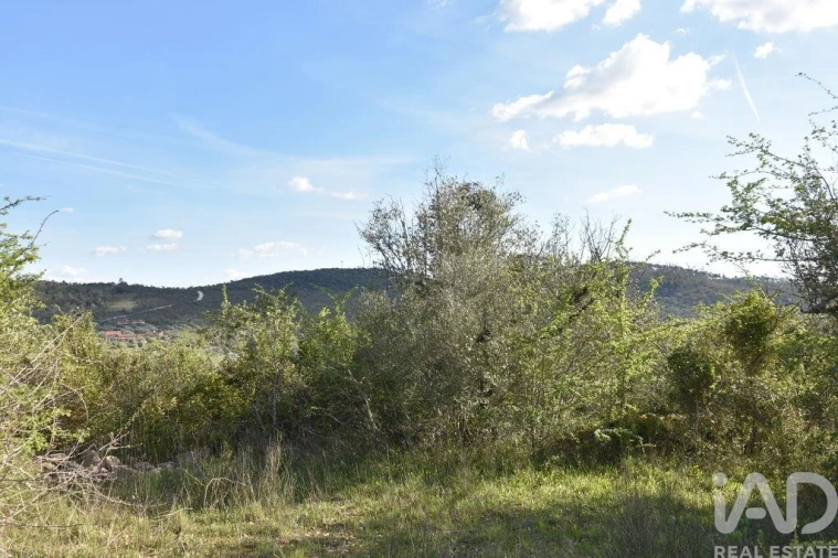 Terreno para Venda em Chãos Foto 21