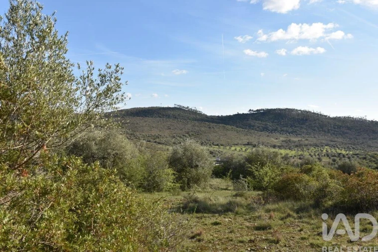 Terreno para Venda em Chãos Foto 18