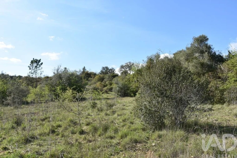 Terreno para Venda em Chãos Foto 14