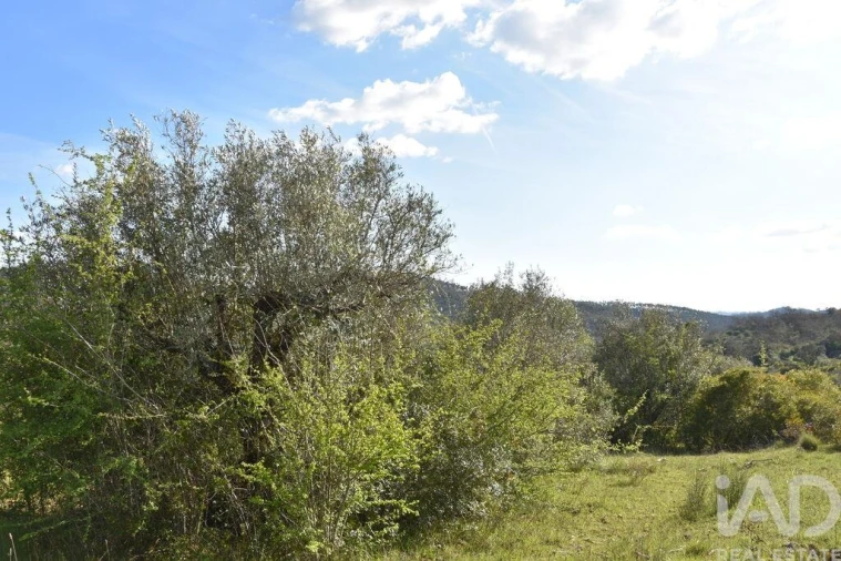 Terreno para Venda em Chãos Foto 24