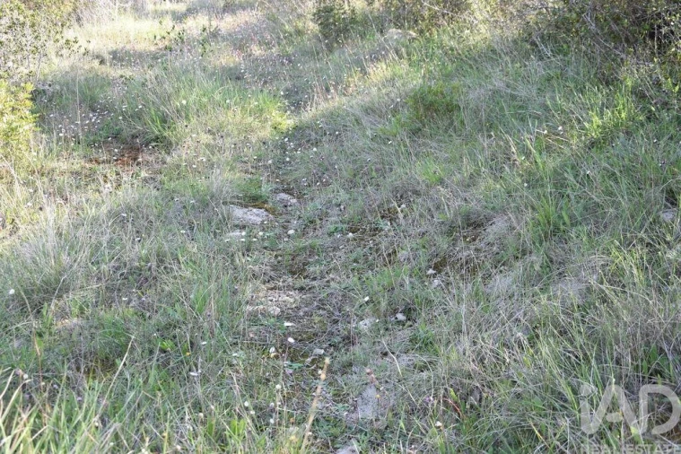 Terreno para Venda em Chãos Foto 29
