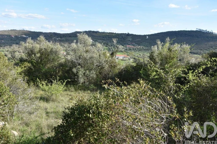 Terreno para Venda em Chãos Foto 19