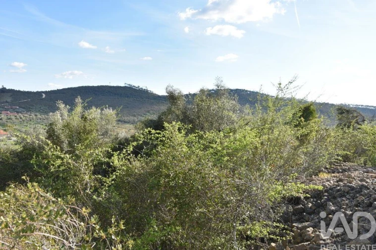 Terreno para Venda em Chãos Foto 3