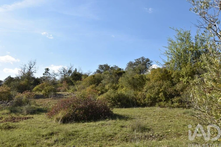 Terreno para Venda em Chãos Foto 8