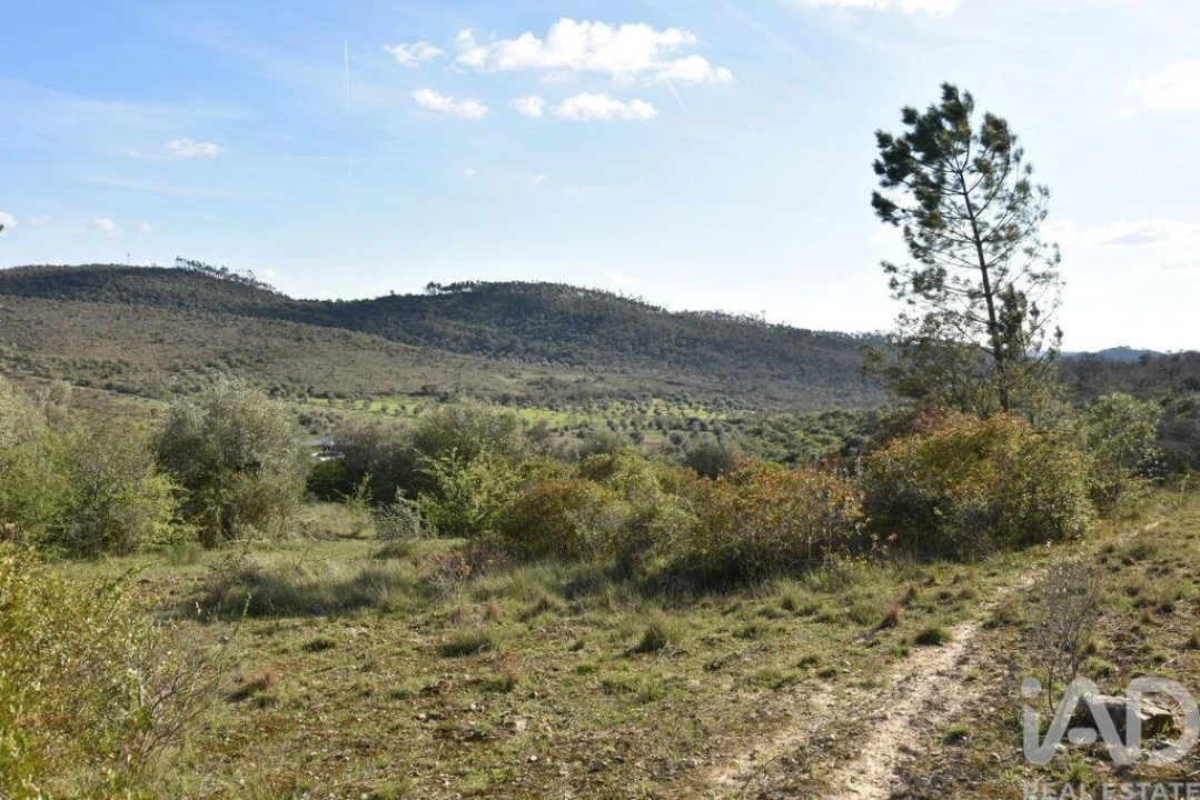 Terreno para Venda em Chãos Foto 30