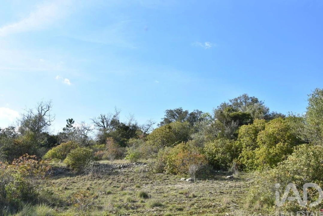 Terreno para Venda em Chãos Foto 25