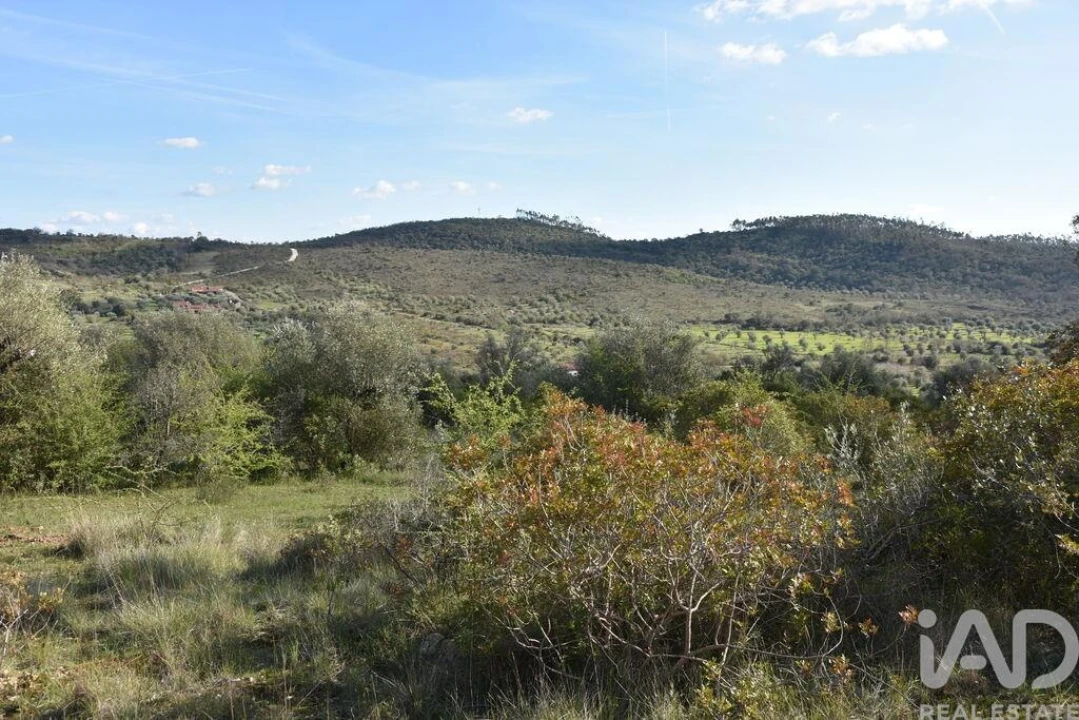 Terreno para Venda em Chãos Foto 17