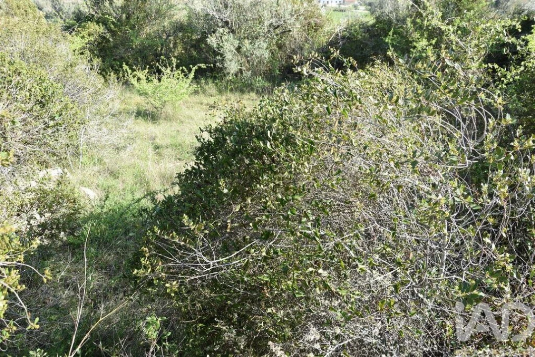 Terreno para Venda em Chãos Foto 20