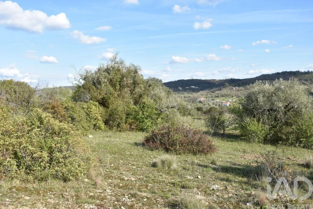 Terreno para Venda em Chãos Foto 13