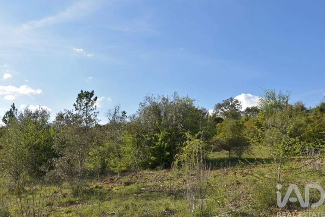 Terreno para Venda em Chãos Foto 7