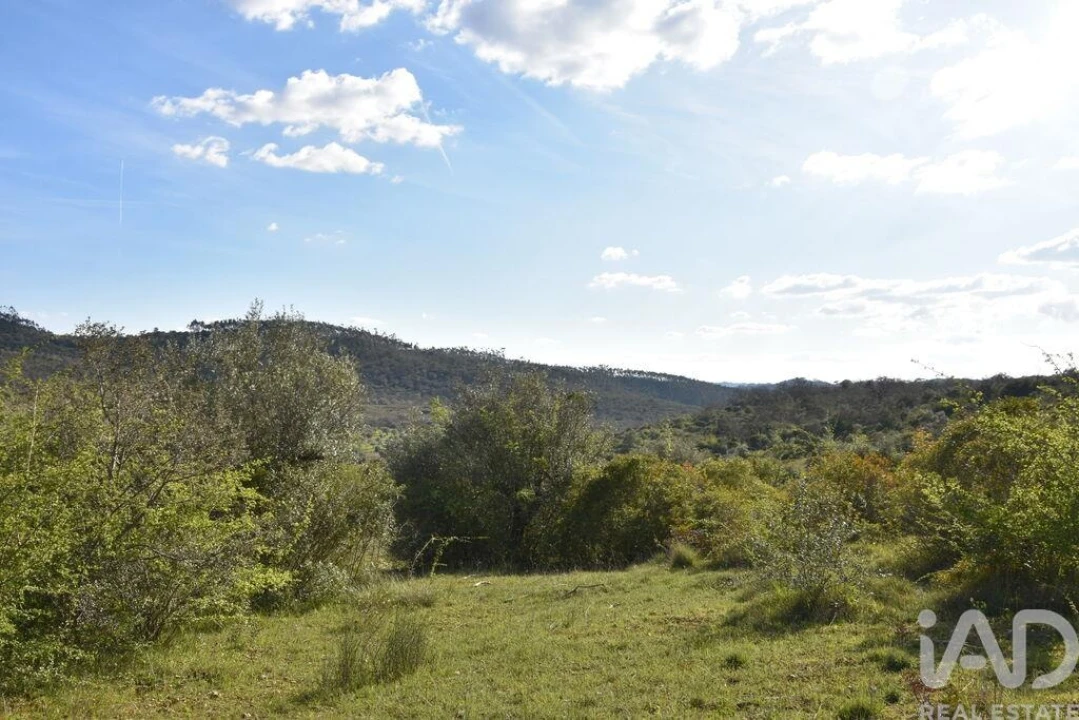 Terreno para Venda em Chãos Foto 12