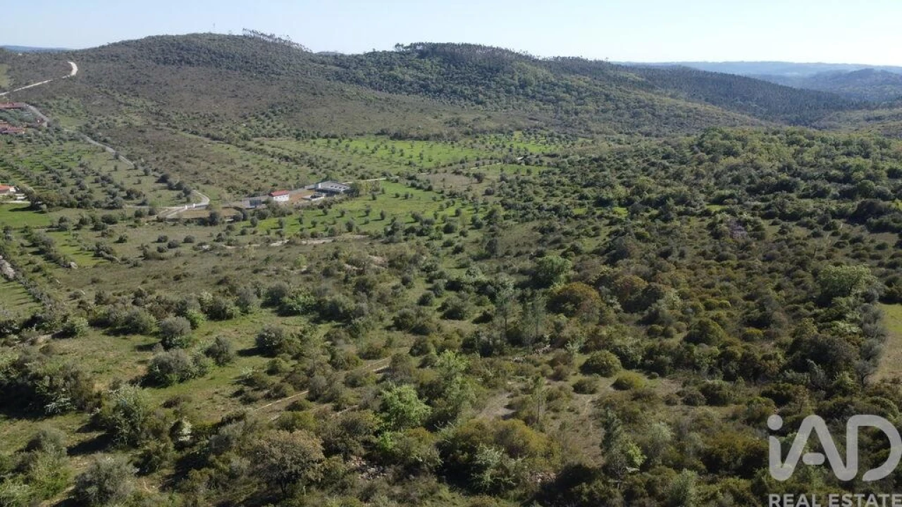 Terreno para Venda em Chãos Foto 31