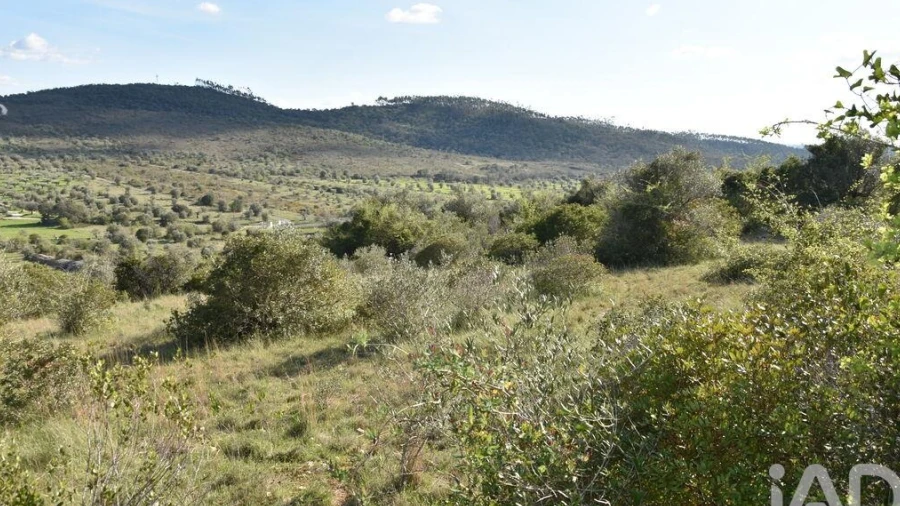 Terreno para Venda em Chãos