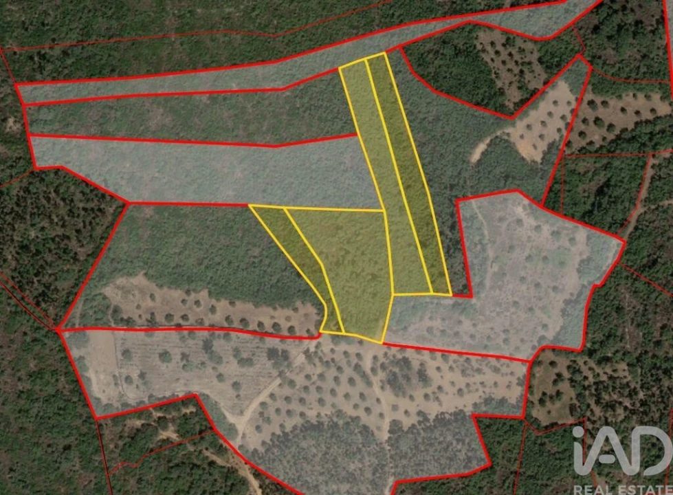 Terreno para Venda em Chãos Foto 32