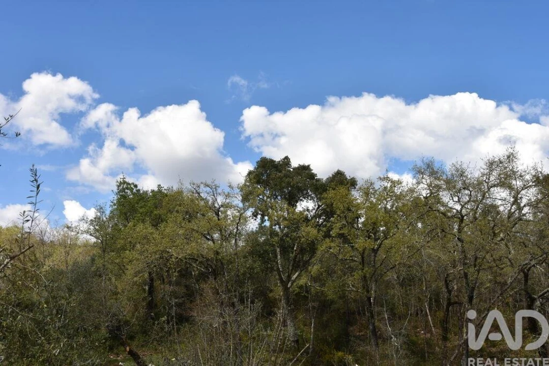 Terreno para Venda em Chãos Foto 28