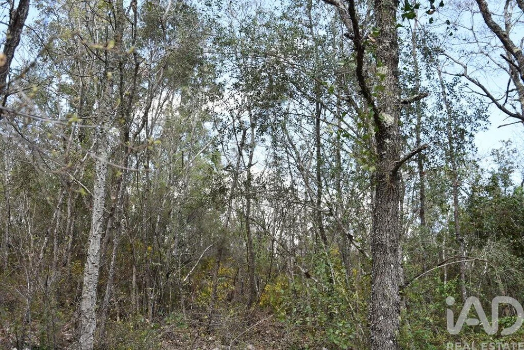 Terreno para Venda em Chãos Foto 15