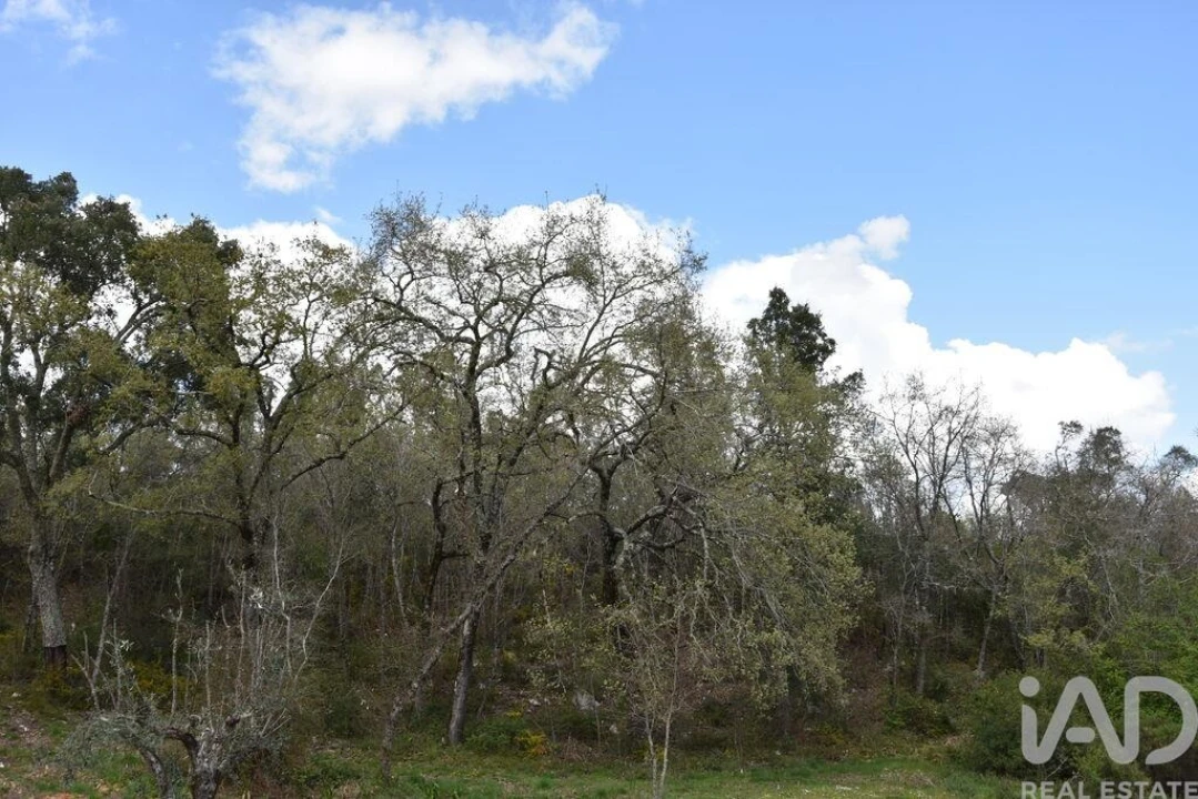 Terreno para Venda em Chãos Foto 11