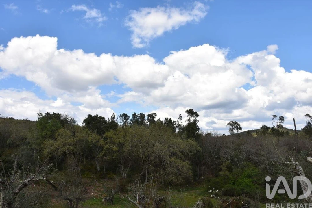Terreno para Venda em Chãos Foto 31