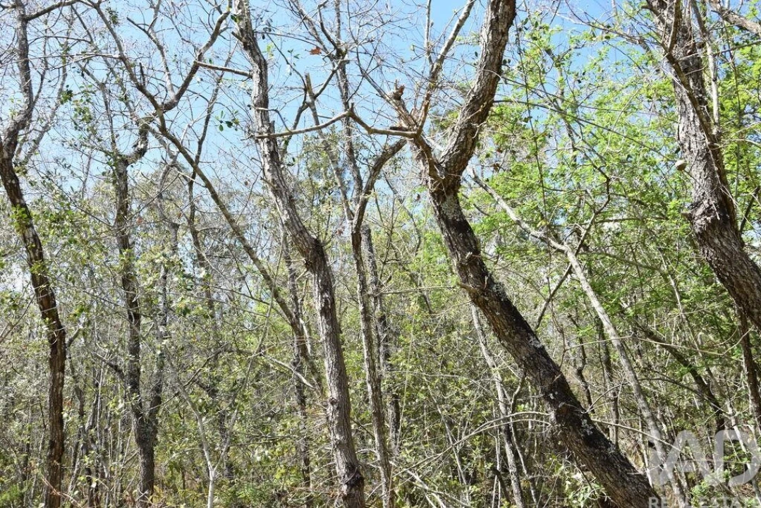 Terreno para Venda em Chãos Foto 23