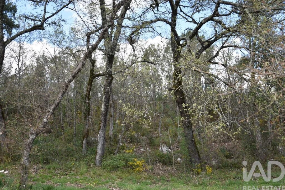 Terreno para Venda em Chãos Foto 13